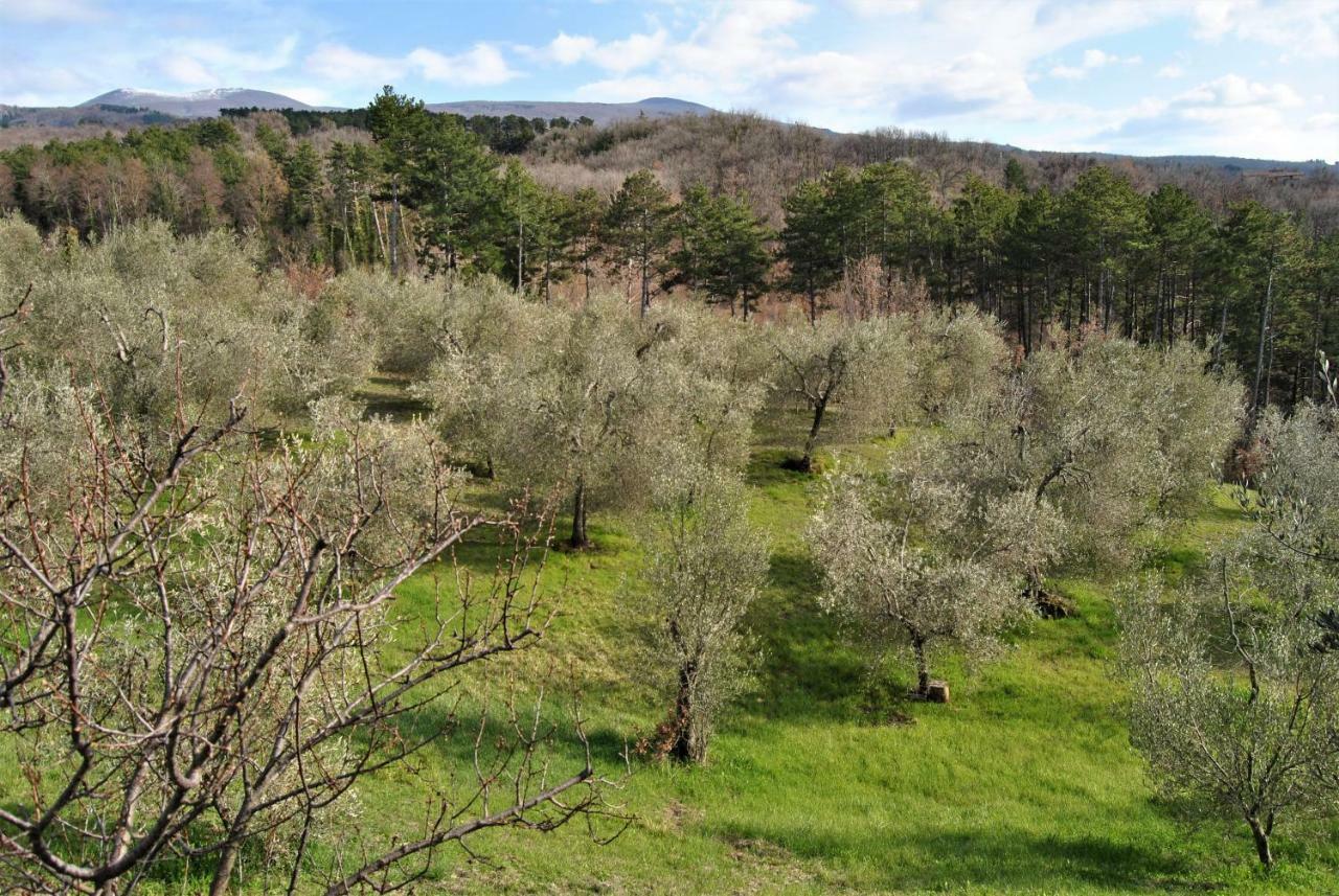 Holiday home Casa Fioranna Seggiano