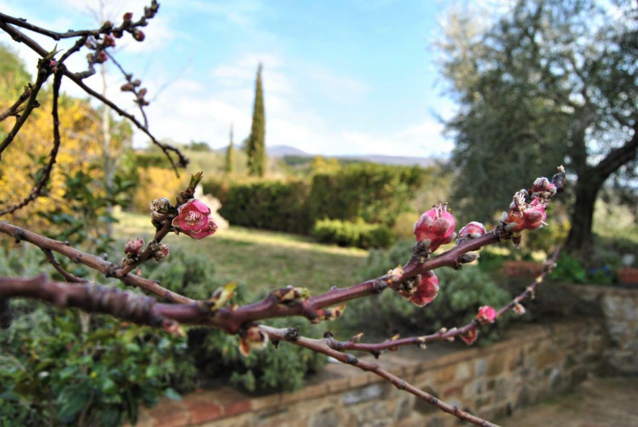 Casa Fioranna